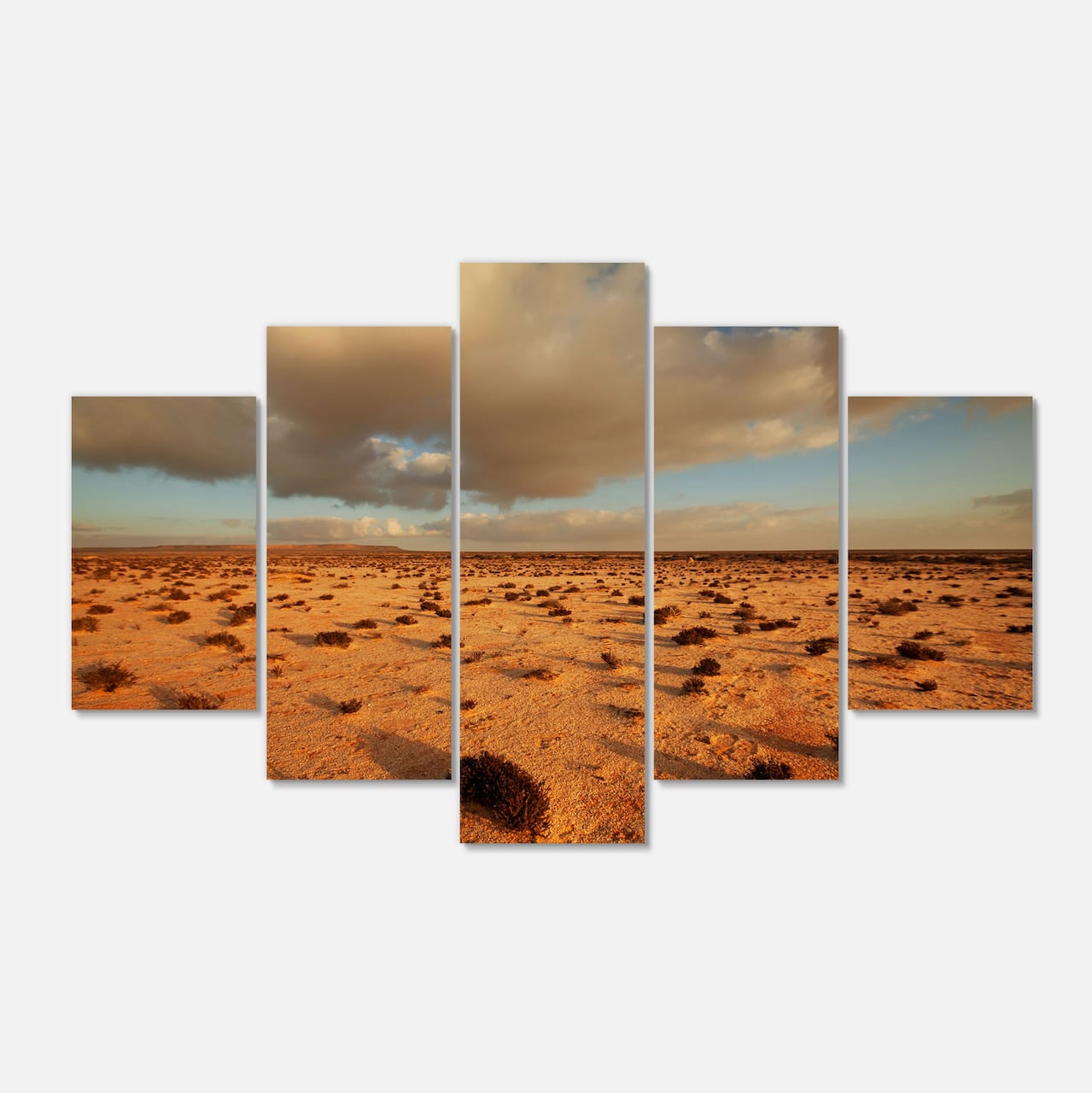 Designart - Desert in Western Sahara - Landscape Canvas Art Print